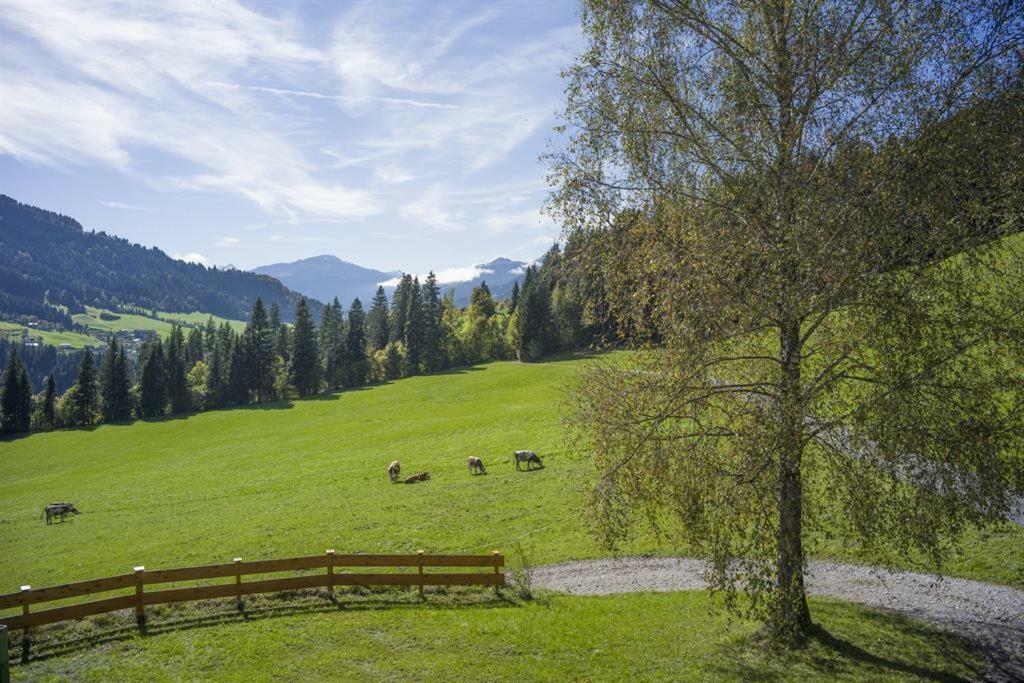 Apartament Bauernhof Hinterfirst Söll Zewnętrze zdjęcie
